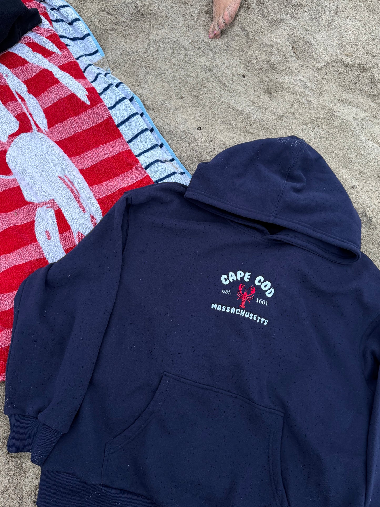 Cape Cod Hoodie (L)