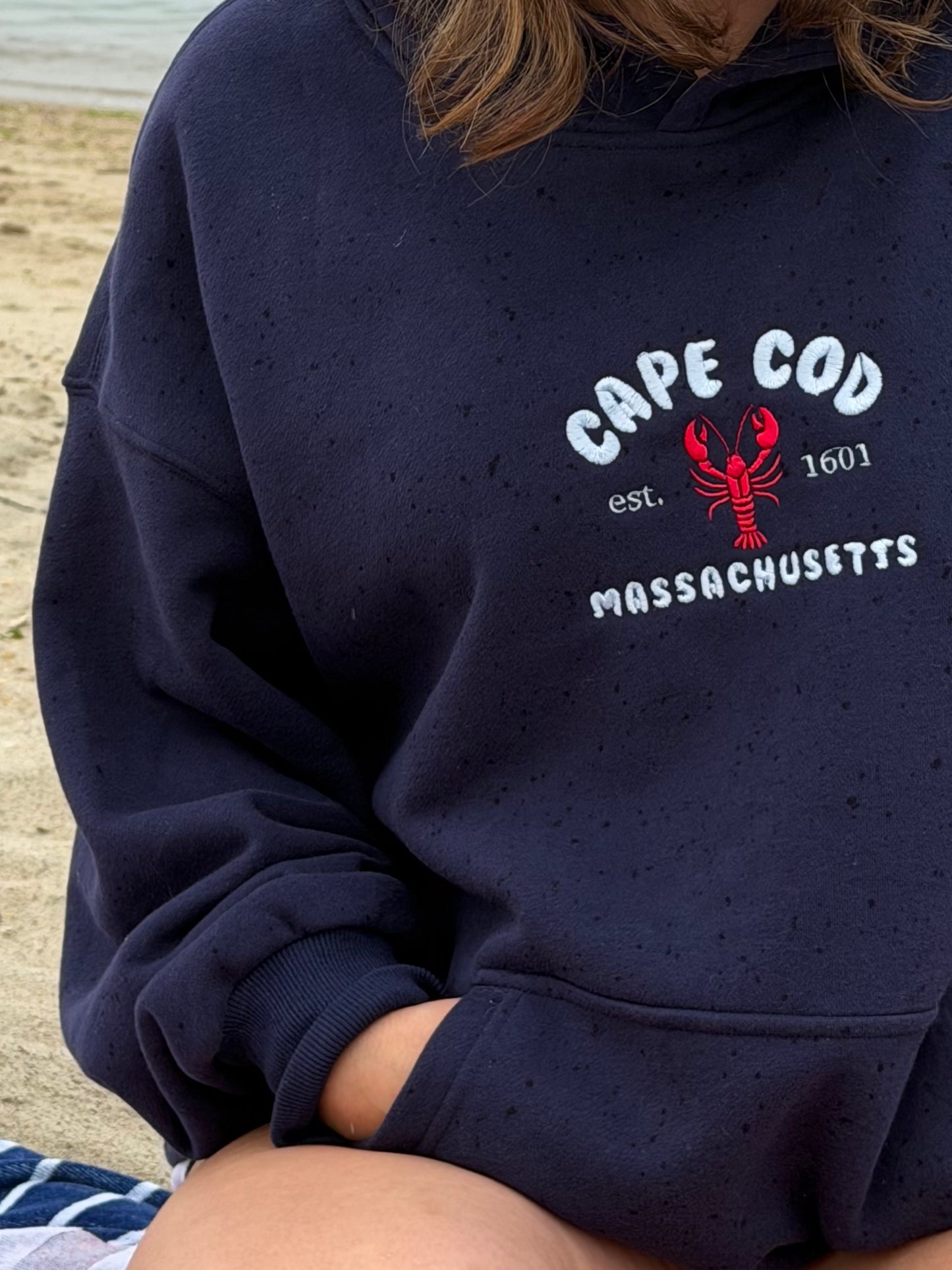 Cape Cod Hoodie (L)